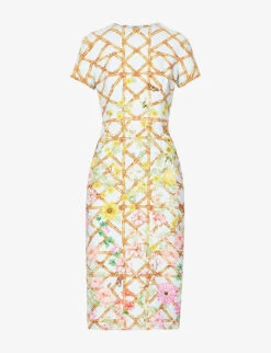 Naomi Graphic-print Stretch-woven Midi Dress